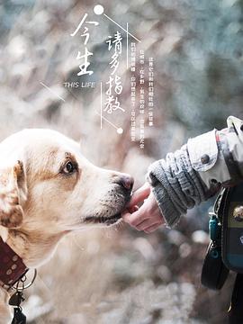 今生，請(qǐng)多指教第三季(全集)