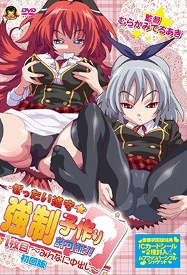 絕對(duì)遵守☆強(qiáng)制造人許可證!!(全集)